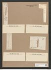 Synedra amphycephala Kuetz., (de-Toni-Nr.: Genus 66, Species 2605) Zeichnungen Sammlung Grunow Nr. 5321 (NHMW-BOT-W0373721)